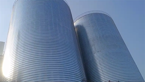 金湖2座混凝土高架卷板仓